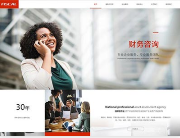 成安金融财务